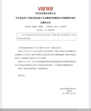 万科如何成为房地产行业的领军企业？