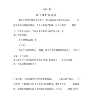 放飞理想个人发言稿范文