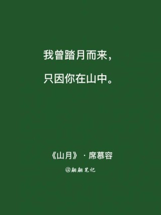 席慕容经典语录(通用15篇)