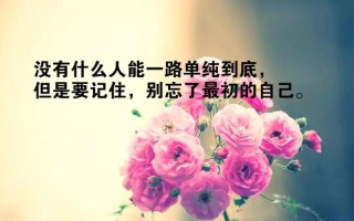 心灵鸡汤朋友经典语录（感悟人生的朋友经典语录）