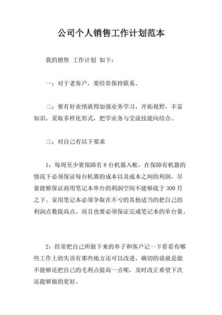 公司销售个人工作计划