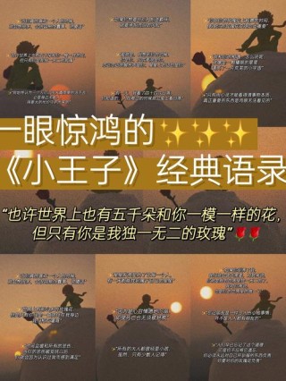 《小王子》经典语录中英文版110句