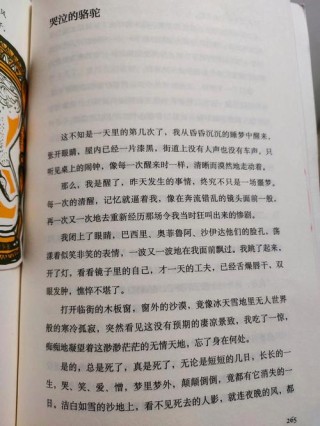 三毛《撒哈拉沙漠》 经典语句60句