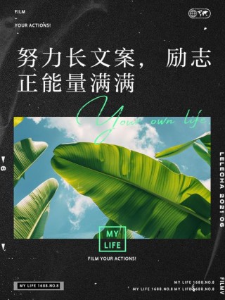 酷知号 | 朋友圈励志文案：燃爆你的正能量！