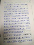 爱国事迹作文600字