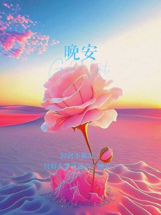 晚安文案干净治愈168句