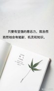 朋友圈励志文案大全 | 激励心灵，点燃希望