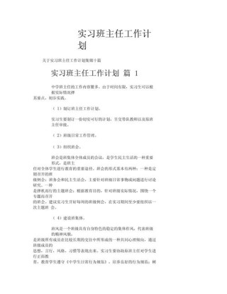 实习班主任的工作计划