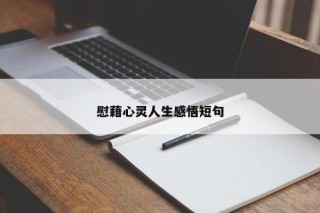 慰藉心灵人生感悟短句