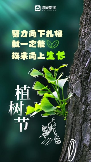 2022年植树节宣传标语