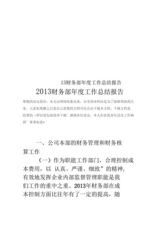 公司财务年度总结报告