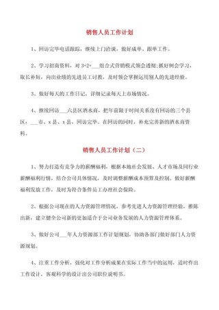 公司销售员个人计划