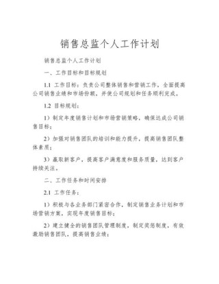 销售总监个人工作计划