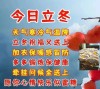 朋友的立冬祝福文案