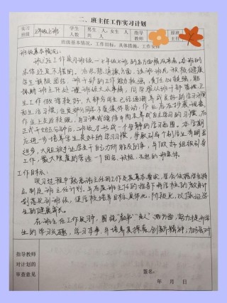 学校班主任实习计划