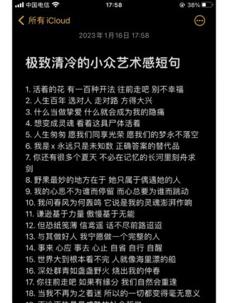 许星纯文案用文字打动人心的艺术