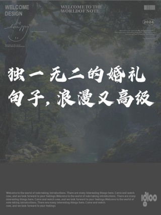 婚礼经典语录（经典爱情语录分享）