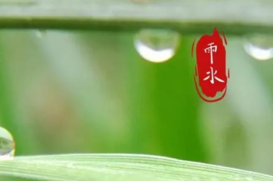  雨水节气短句很唯美 雨水节气优美文案