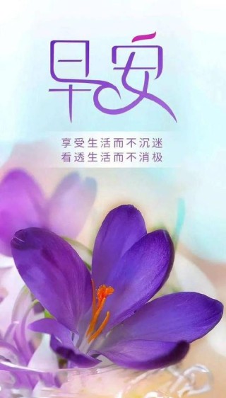 微商励志早安语录2017（激励你的微商之路）