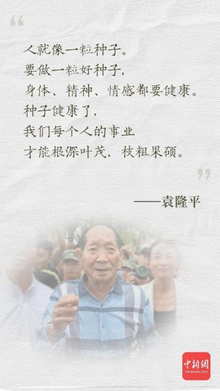 袁隆平与水稻的故事事迹