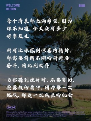 何炅心灵鸡汤经典语录（启迪人生智慧的名言）