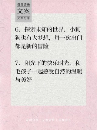 爱狗狗的文案怎么写才能吸引更多人的关注呢？