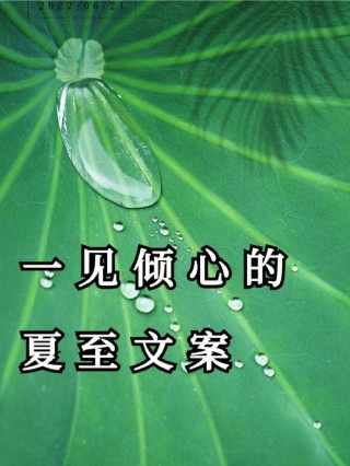 夏至文案短句干净150句