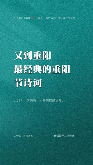 庆祝重阳相关的优秀文案