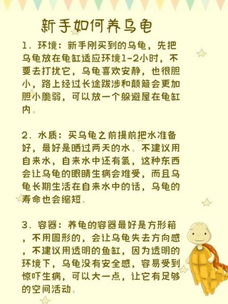 你养乌龟的方式可能有问题，看看这些养龟技巧吧