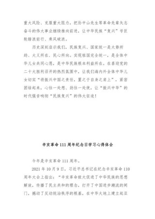 关于辛亥革命纪念日的发言稿