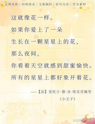 小王子经典语录汇编15篇