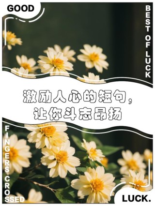 句句戳心的朋友圈励志文案大全 | 激励人心 | 酷知号