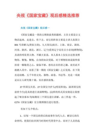 国家宝藏观后感我眼中的中国文化珍宝