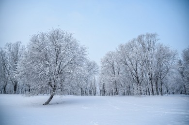 50条关于冬天下雪的文案精选