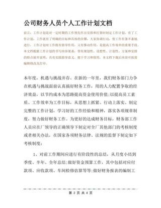 公司会计个人工作计划