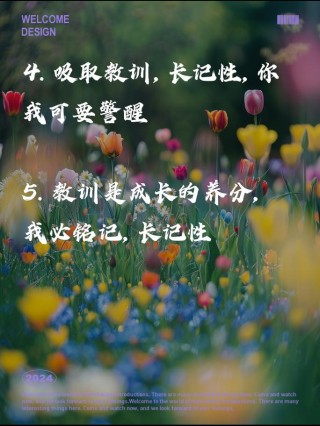 为错误买单的经典语录（学习经验教训，避免重蹈覆辙）