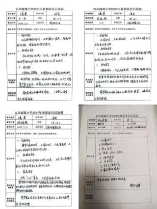 小学班主任家访总结