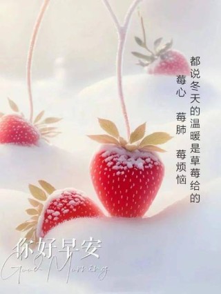 酷知号：朋友圈励志文案，鼓舞人心，心灵鸡汤