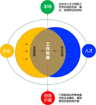 把握职场核心，从运营小白到职场大咖的成功之路