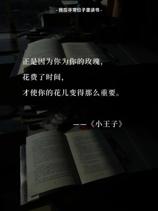 小王子经典语录汇编15篇