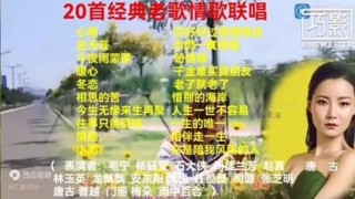 经典情歌对唱歌曲大全