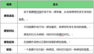 教师考试资格证心理学考点