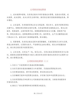 关于作为公司会计的职责例文