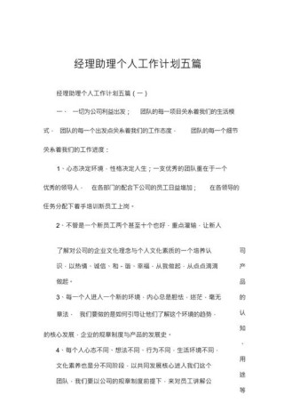 公司经理个人工作计划