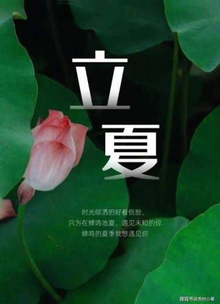 立夏时节暖心寄语2023年160句