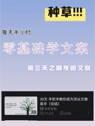 想学医文案（医学文案写作初学指南）