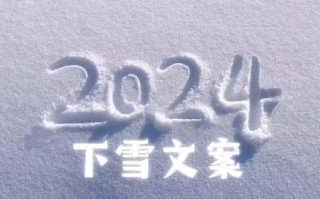 适合下雪发朋友圈的文案