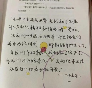 小王子经典语录汇编【15篇】