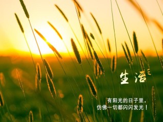 朋友圈励志文案｜点亮人生的微光，照亮前行之路