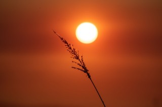 那些干净治愈的太阳文案